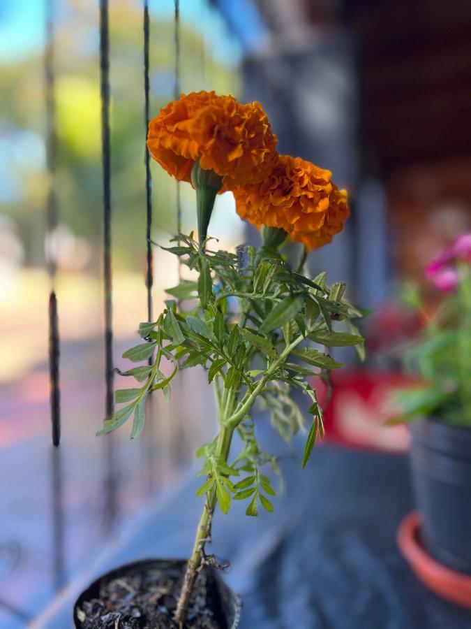 Iguazu Nature Hostal Пуерто Игуасу Екстериор снимка